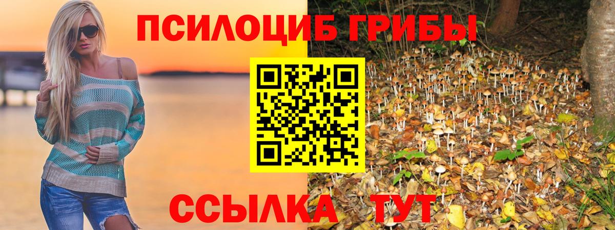 Галлюциногенные грибы Psilocybine cubensis  Псилоцибиновые грибы Magic Shrooms  Нижний Новгород  Вход с VPN 